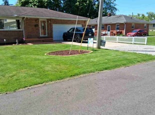 Khalida A.'s grass maintenance service result