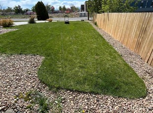 Marisela G.'s turf care service result