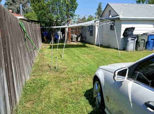 Alfonso B.'s lawn care service result