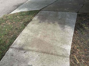 Andrew H.'s lawn care service result