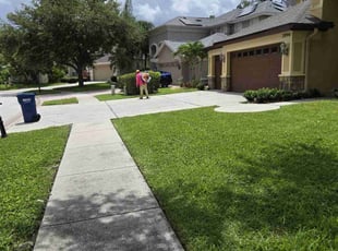 Brent C.'s grass maintenance service result
