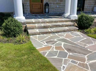 Ray T.'s Bush Trimming service result