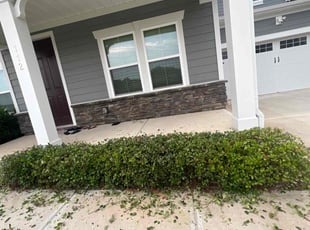Laverne M.'s Bush Trimming service result