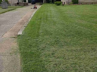 Lavette W.'s lawn service service result