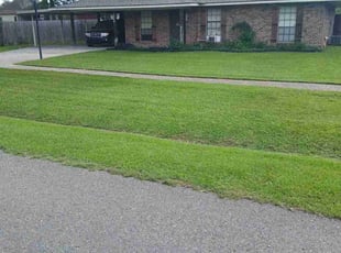 Jerry G.'s grass cutting service result