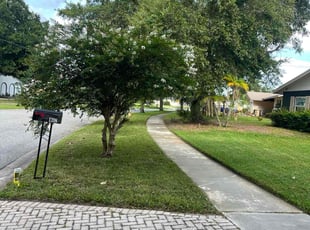 Jordan T.'s lawn care services service result