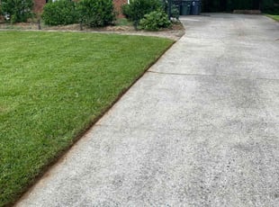 Sandra G.'s turf care service result