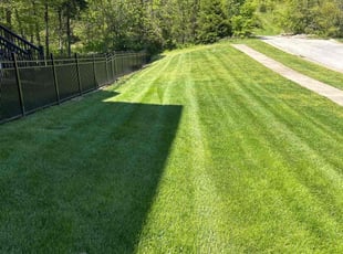 Jeremy W.'s grass cutting service result
