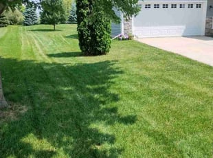 Guirish A.'s turf maintenance service result