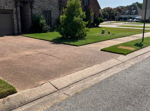 Kelly W.'s lawn service service result