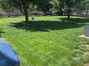 Ananda R.'s grass cutting service result