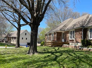 Andrea F.'s grass maintenance service result