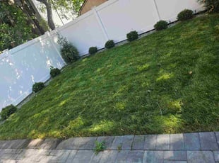 Jerry N.'s lawn care service result