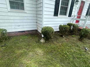 Angela C.'s Bush Trimming service result