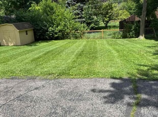 Philip R.'s lawn service service result