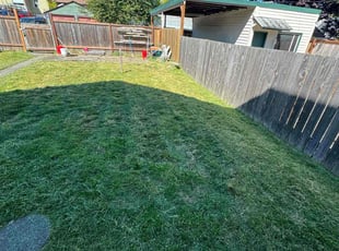 Umar T.'s turf care service result