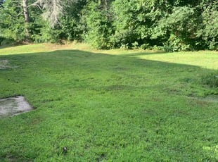 Angela M.'s grass maintenance service result