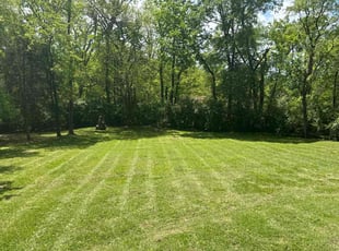 Richard W.'s lawn care services service result