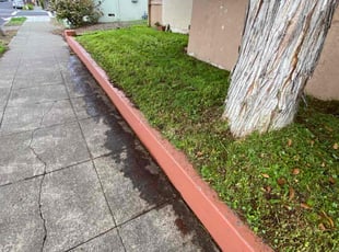 George W.'s lawn care service result