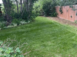 Jaclyn G.'s lawn care services service result