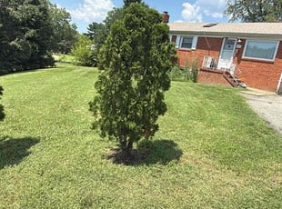 John B.'s lawn care service result