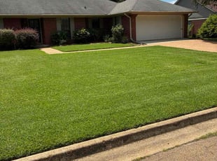 Amy D.'s lawn care services service result
