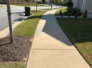 Sherman S.'s grass cutting service result