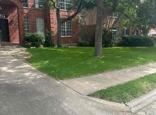 Holly H.'s lawn maintenance service result