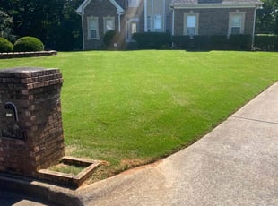 Tameeshah C.'s lawn service service result