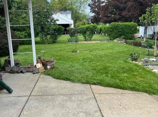 Mary D.'s grass maintenance service result