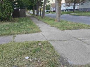 Nancy G.'s Long Grass Cleanup service result