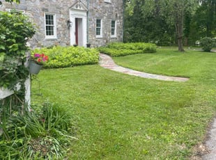 Adriana O.'s grass maintenance service result
