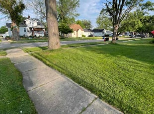 Margaret M.'s lawn care services service result
