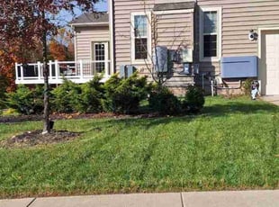 Mya D.'s lawn service service result