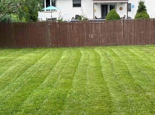 Johnny M.'s lawn maintenance service result