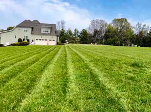 Crystal R.'s yard work service result