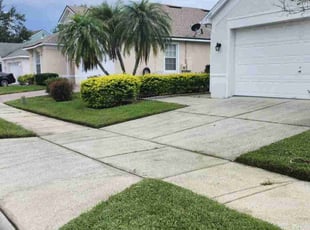 Pam S.'s grass cutting service result