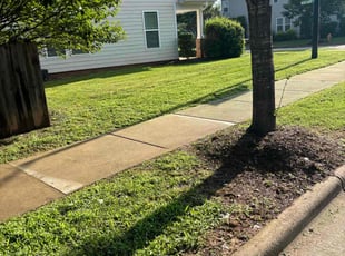 Nancy F.'s turf care service result