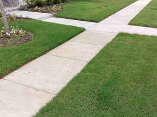 Jake S.'s residential landscaping service result