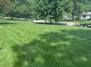 Dennis T.'s lawn care services service result