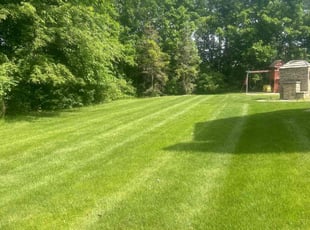 Kathy W.'s lawn care services service result