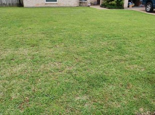 Dahka M.'s yard care service result