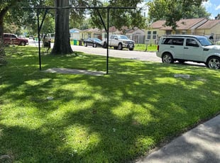 Aaya S.'s lawn service service result
