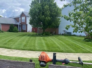 Harold A.'s lawn maintenance service result