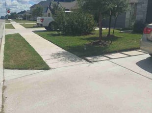 Jon D.'s turf care service result