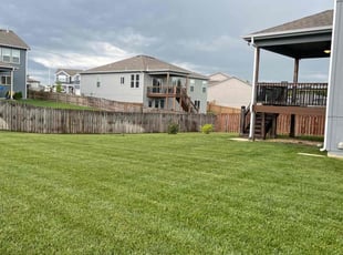 Saba N.'s grass cutting service result