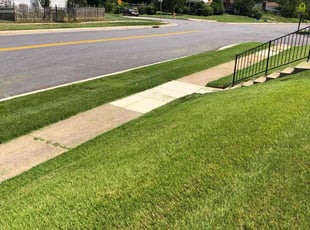 Nia S.'s residential landscaping service result