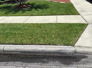 Jennifer F.'s grass cutting service result