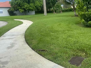 Marcie D.'s lawn service service result