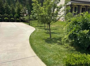 John B.'s lawn care service result